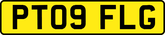 PT09FLG