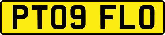 PT09FLO