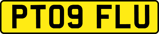 PT09FLU