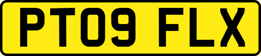 PT09FLX