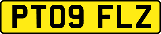 PT09FLZ