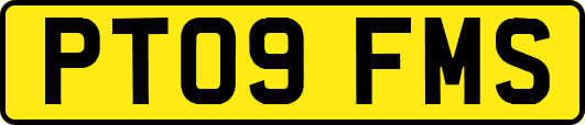 PT09FMS