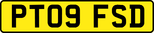 PT09FSD