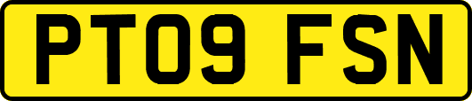 PT09FSN