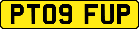 PT09FUP