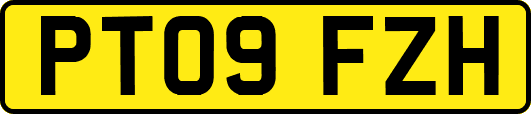 PT09FZH