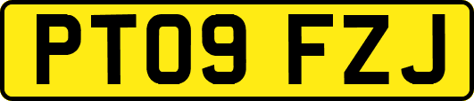 PT09FZJ