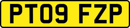 PT09FZP