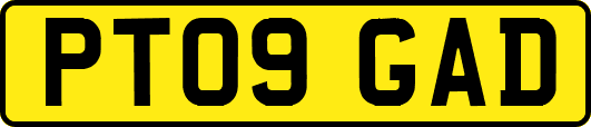 PT09GAD
