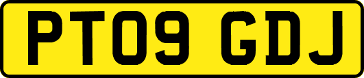 PT09GDJ