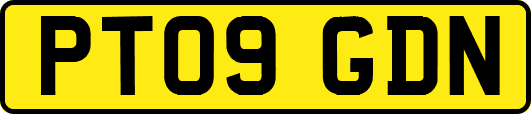 PT09GDN