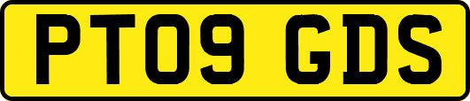 PT09GDS