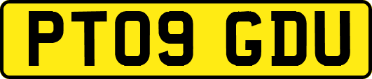 PT09GDU