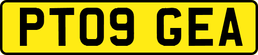 PT09GEA