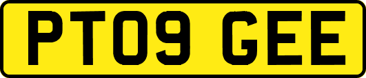 PT09GEE