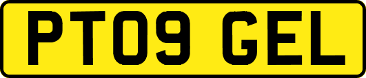 PT09GEL