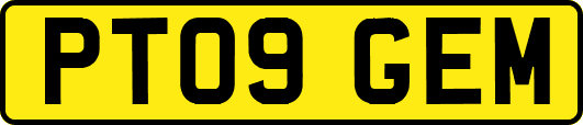 PT09GEM