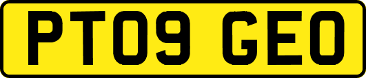 PT09GEO