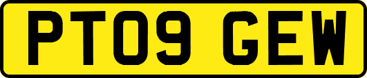 PT09GEW