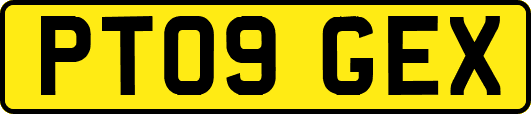 PT09GEX