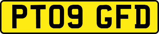 PT09GFD