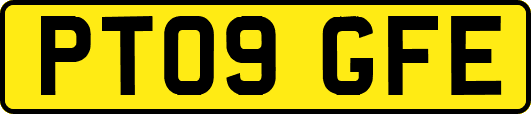 PT09GFE