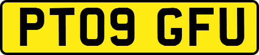 PT09GFU