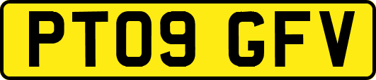 PT09GFV
