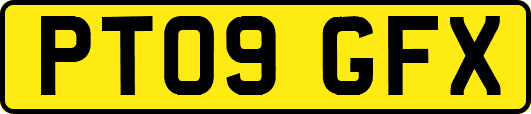 PT09GFX
