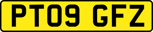 PT09GFZ