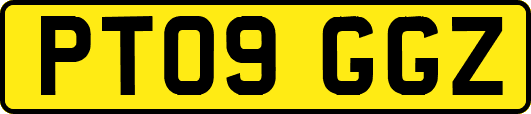 PT09GGZ