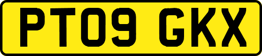 PT09GKX