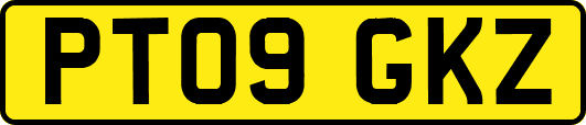 PT09GKZ