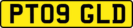 PT09GLD