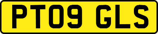 PT09GLS