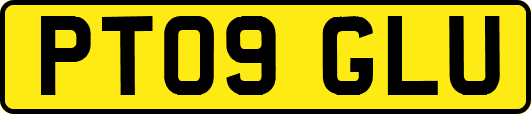 PT09GLU