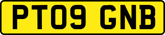 PT09GNB