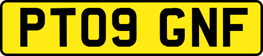 PT09GNF