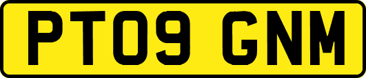 PT09GNM
