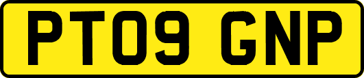 PT09GNP