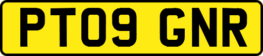 PT09GNR