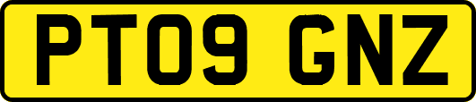 PT09GNZ