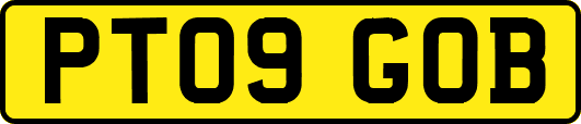 PT09GOB