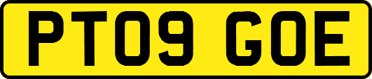 PT09GOE