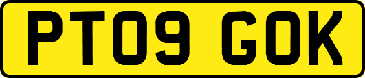 PT09GOK