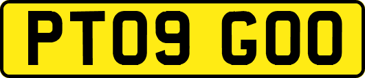 PT09GOO