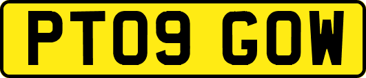 PT09GOW