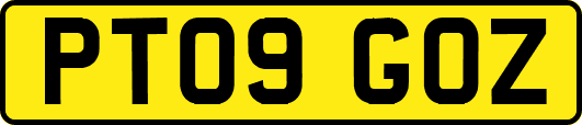 PT09GOZ