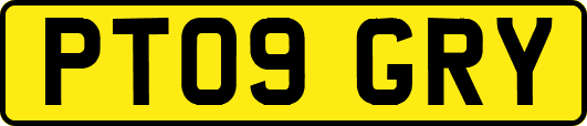 PT09GRY
