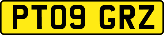 PT09GRZ